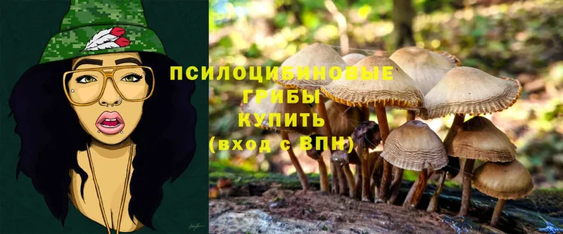 где купить наркоту  Полярный  Псилоцибиновые грибы Magic Shrooms 